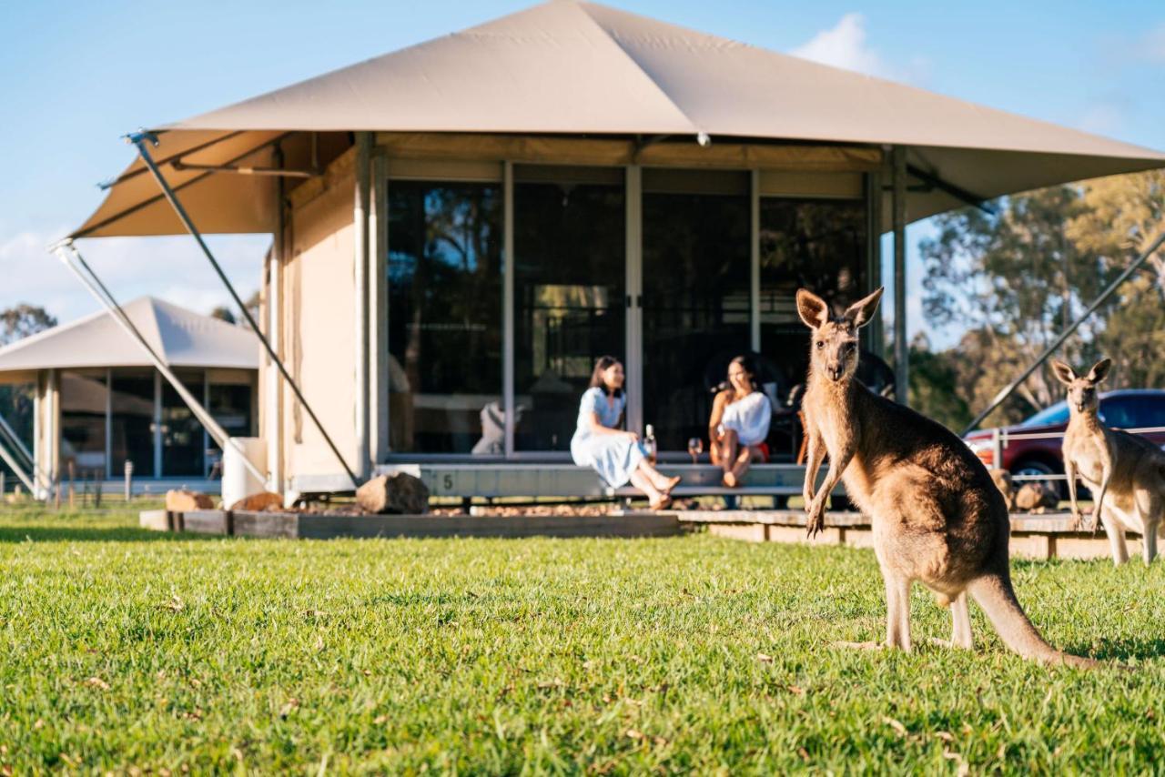 Habitat Noosa Hotell Cootharaba Exteriör bild