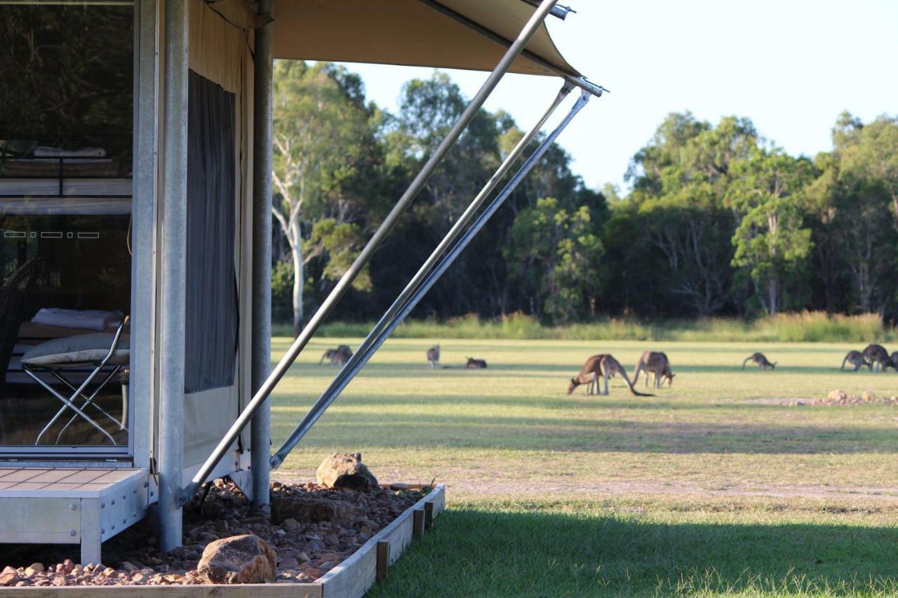Habitat Noosa Hotell Cootharaba Exteriör bild
